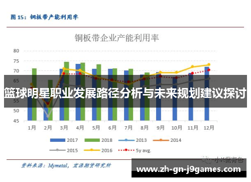 篮球明星职业发展路径分析与未来规划建议探讨